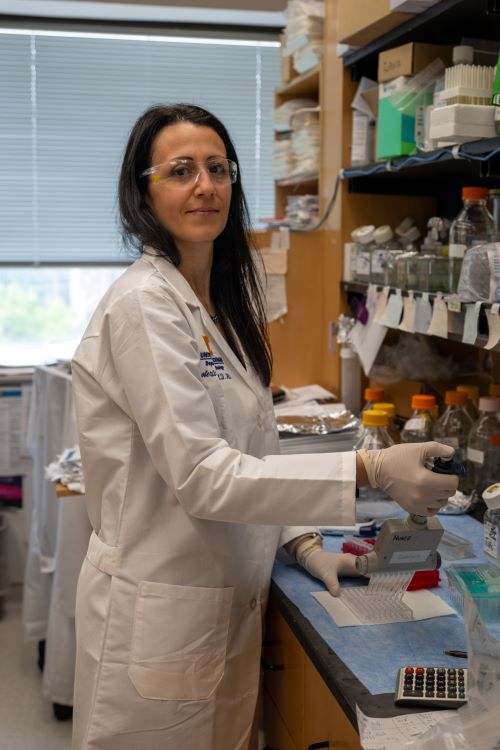 Roberta Caruso pipetting samples in her laboratory.